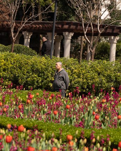 Shanghai 2026 photograph