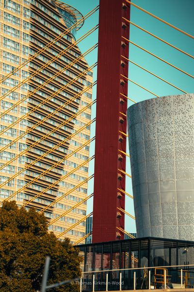 Shanghai 2026 photograph