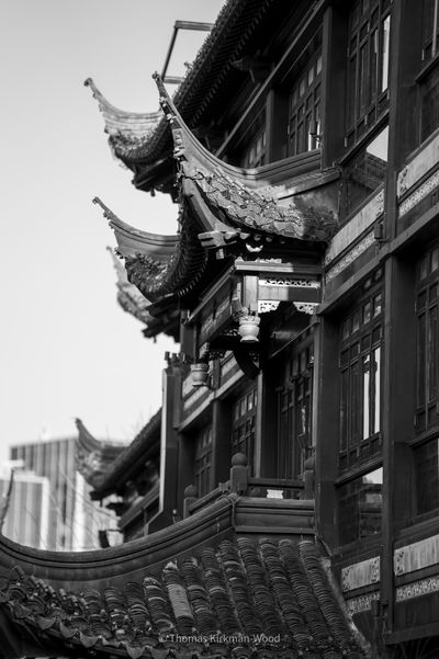 Shanghai 2026 photograph